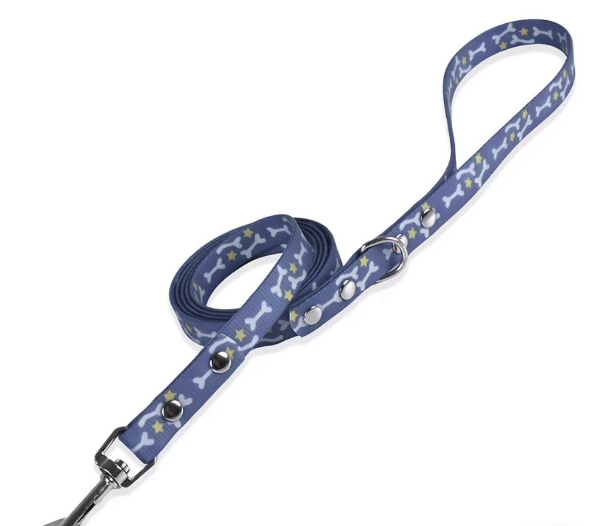 Waterproof Webbing Dog Lead with Snap
