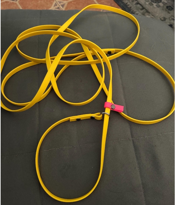 Slip Lead - 1/2" Biothane/Waterproof Webbing