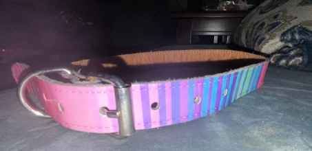 Leatherette Buckle Collar