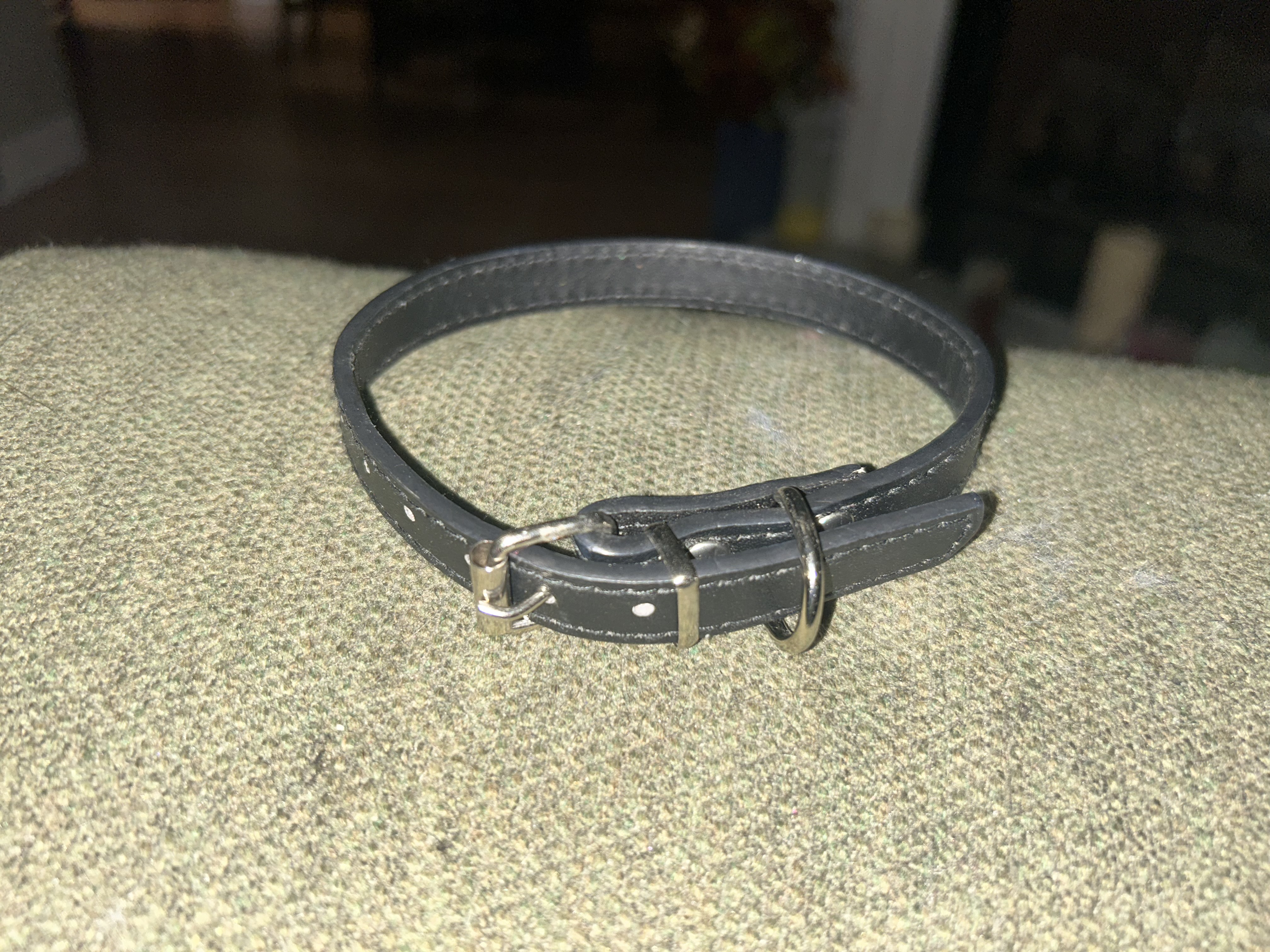 Leather Buckle Collars - Assorted Colors