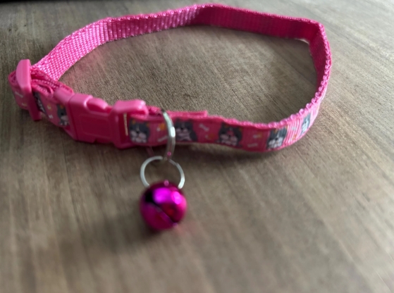 XS Nylon Adjustable Quick Release Collars