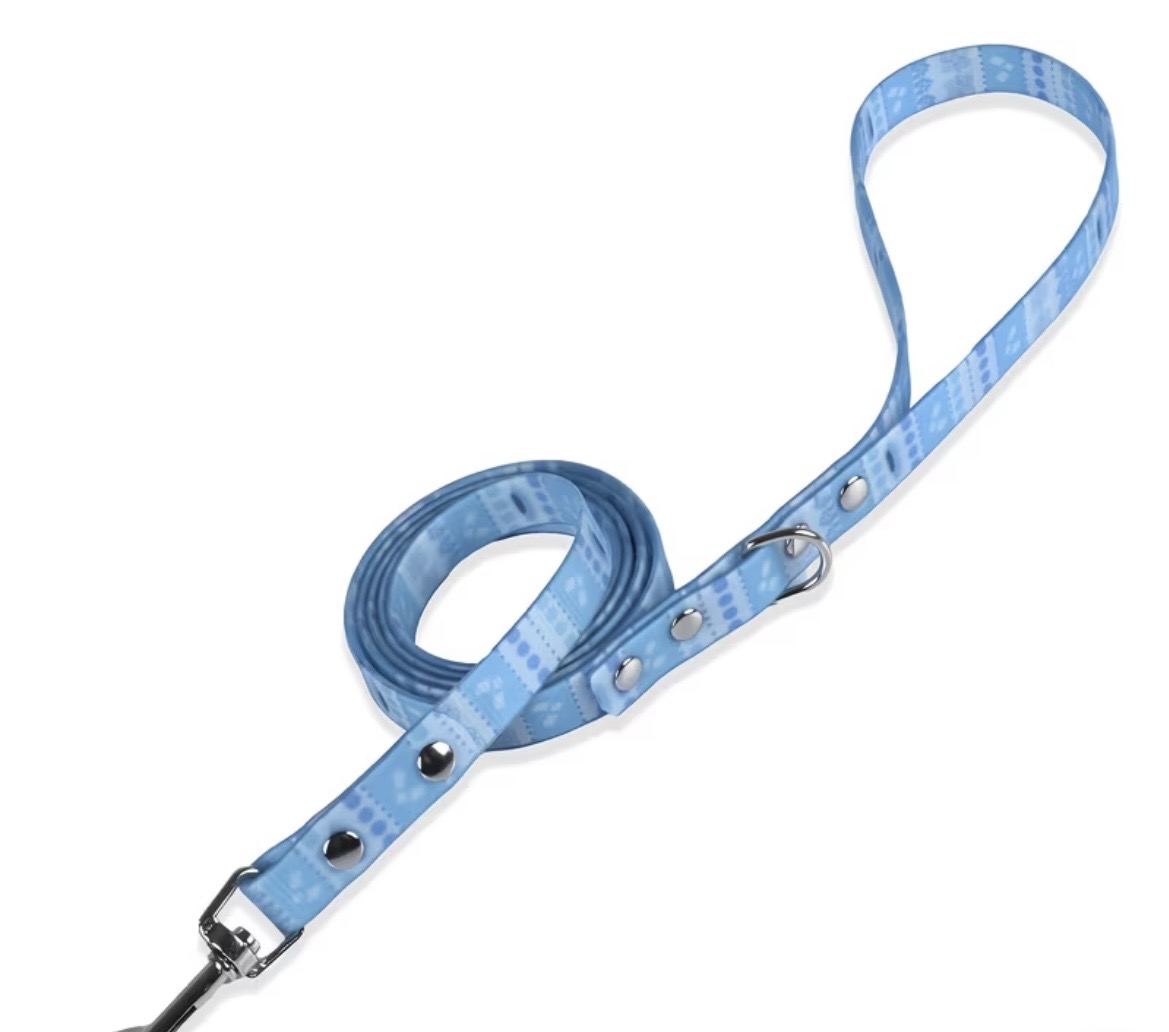 Waterproof Webbing Dog Lead with Snap