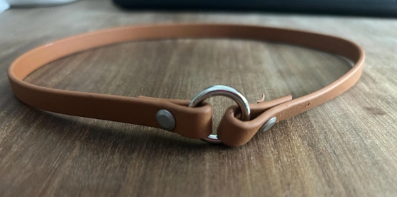 Tag Collar - 1/2" Biothane / Waterproof Webbing