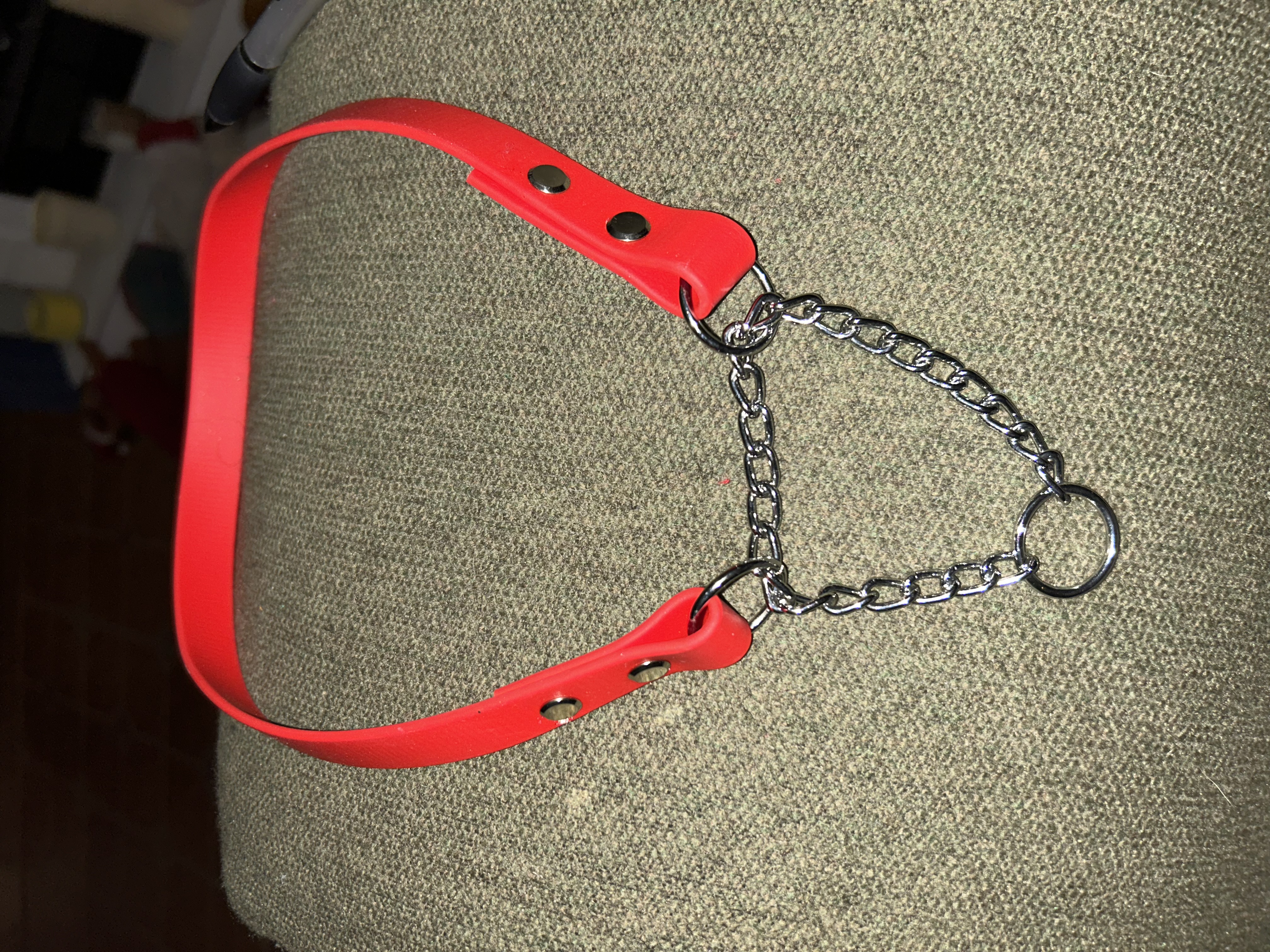 Biothane/Waterproof Webbing Martingale Dog Collar