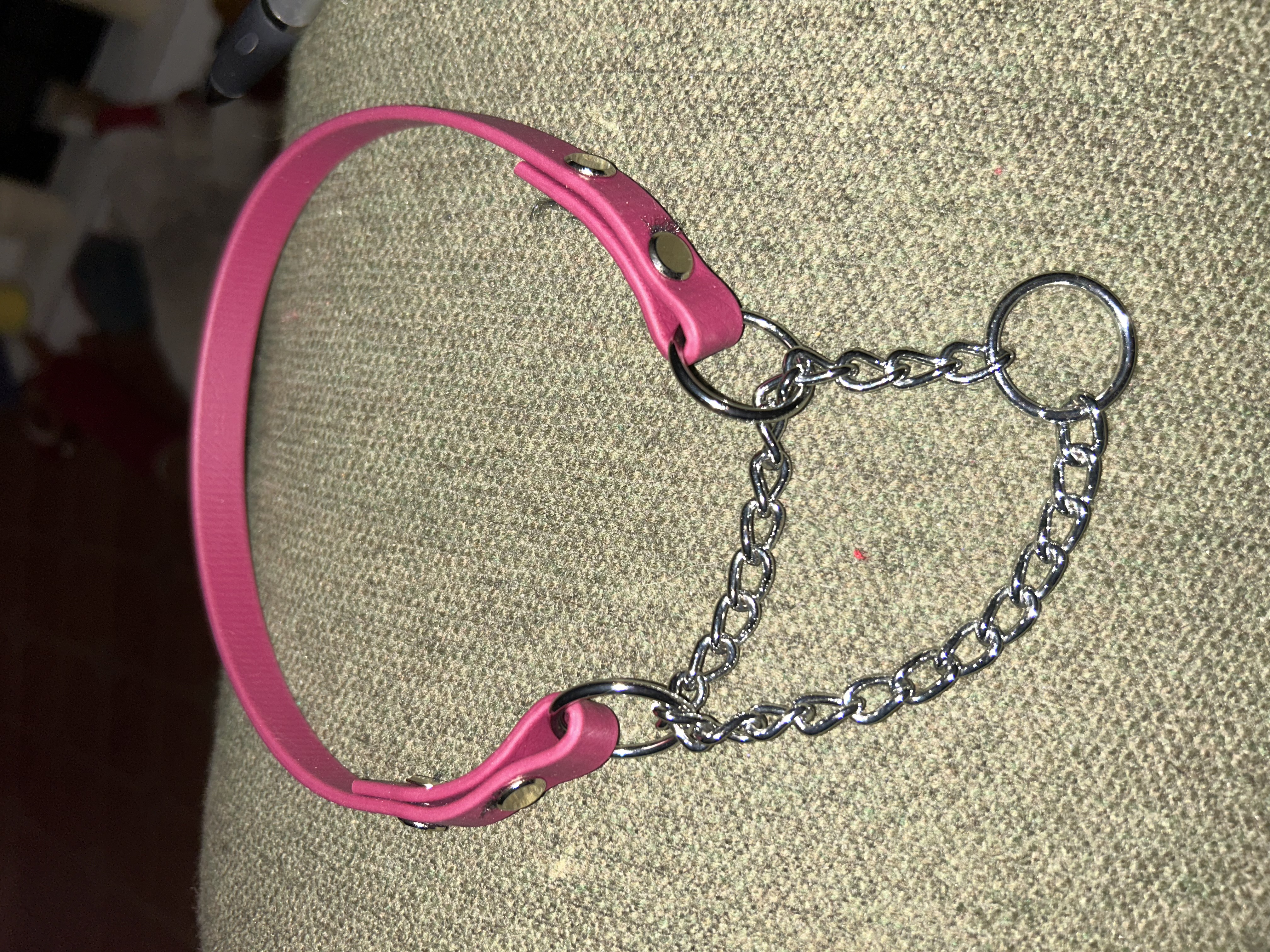 Biothane/Waterproof Webbing Martingale Dog Collar