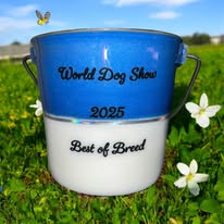 Custom Stainless Steel Bucket  - 4 different sizes