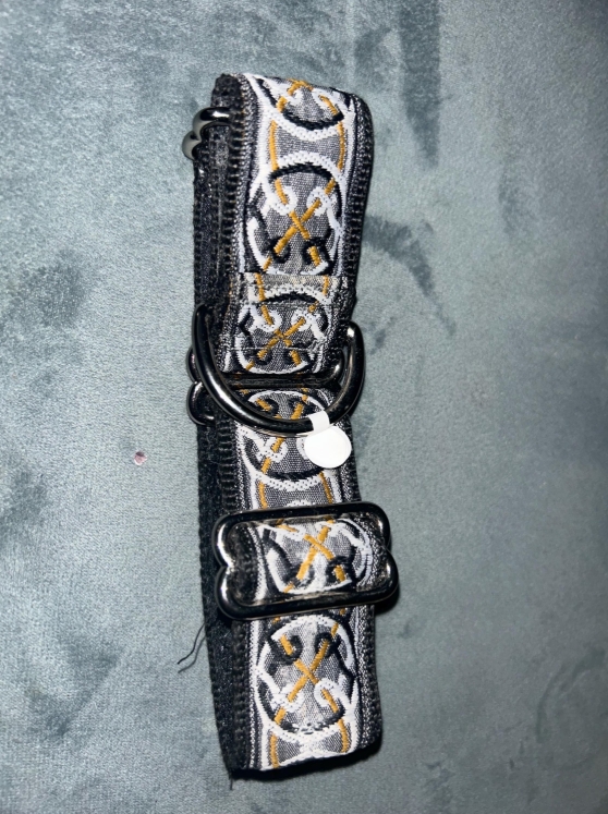 Martingale Dog Collar - Adjustable