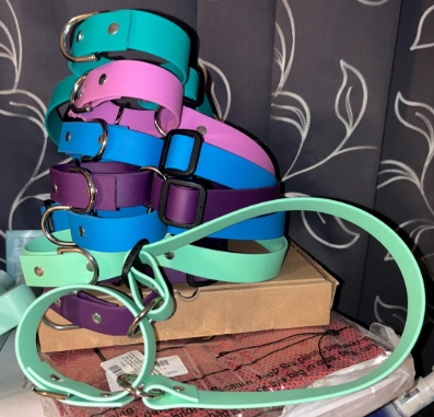 Martingale Dog Collar  - 1/2" Biothane/Waterproof Webbing