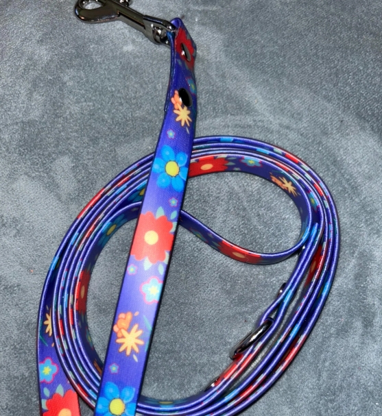 Dog Leash - Waterproof 