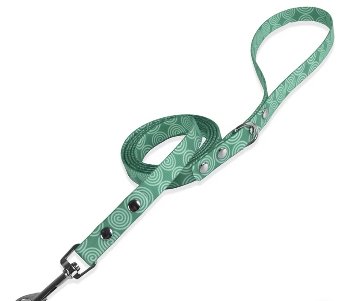Waterproof Webbing Dog Lead with Snap