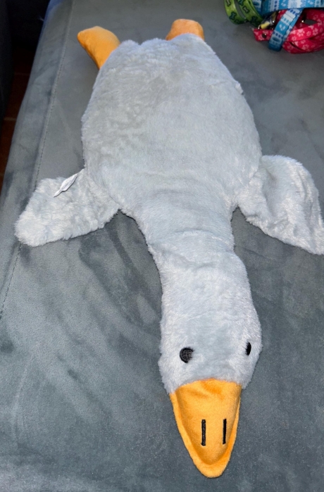Stuffed Soft Duck/Goose Dog Toy