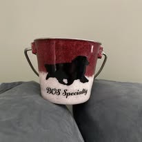 Custom Stainless Steel Bucket  - 4 different sizes