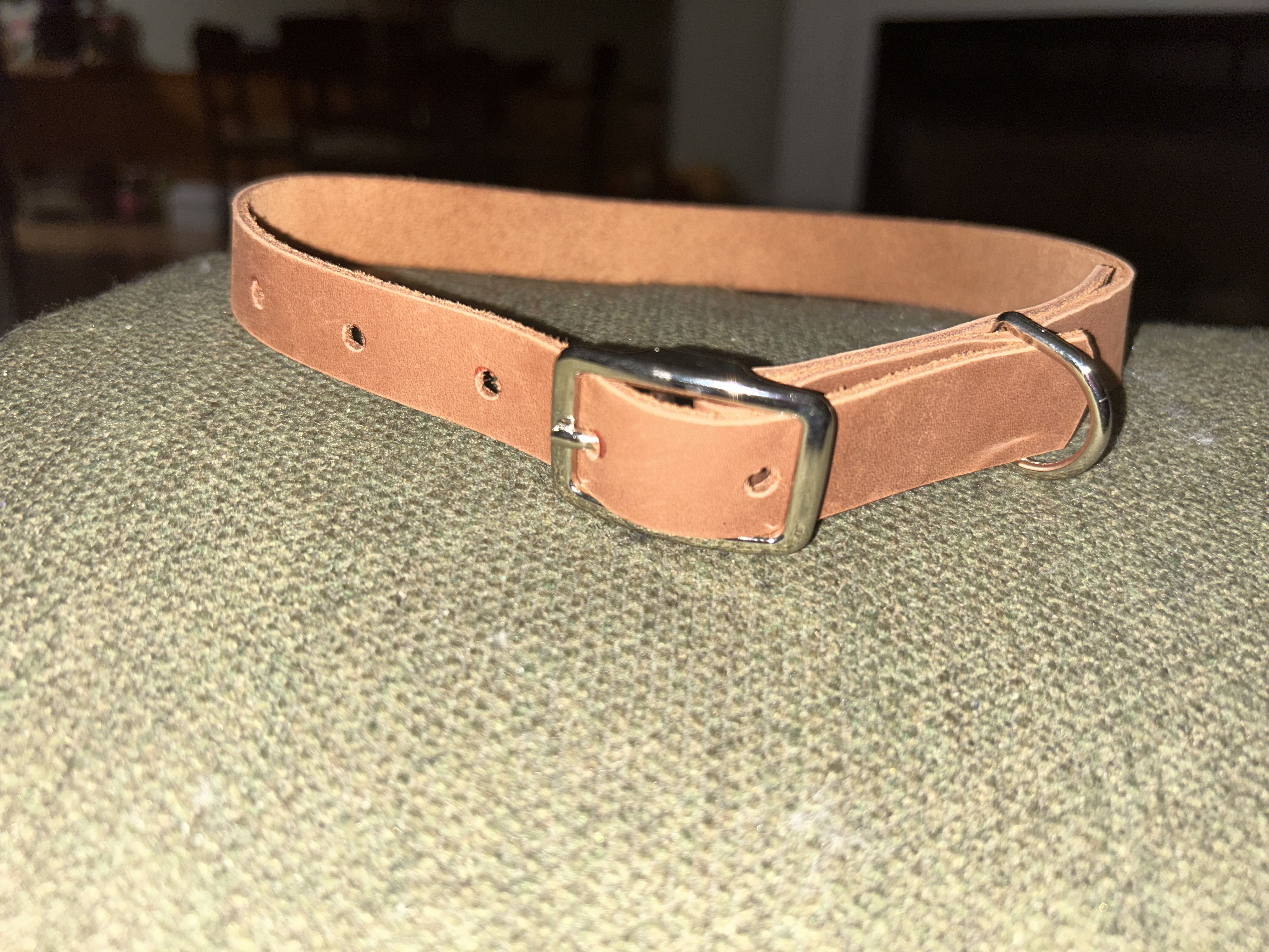 Leather Buckle Collars - Assorted Colors
