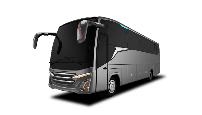 Medium Bus (20-31 seat) - Tour