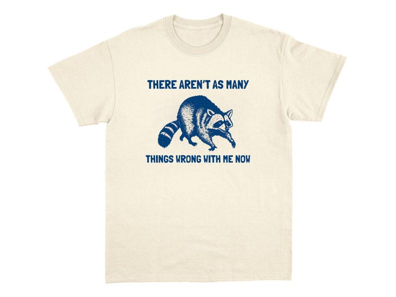 There Aren't As Many Things T-Shirt Weird Ironic Tee Shirts Sarcastic Viral T Shirt Cursed Meme Clothing Silly Goose Funny Relatable Top