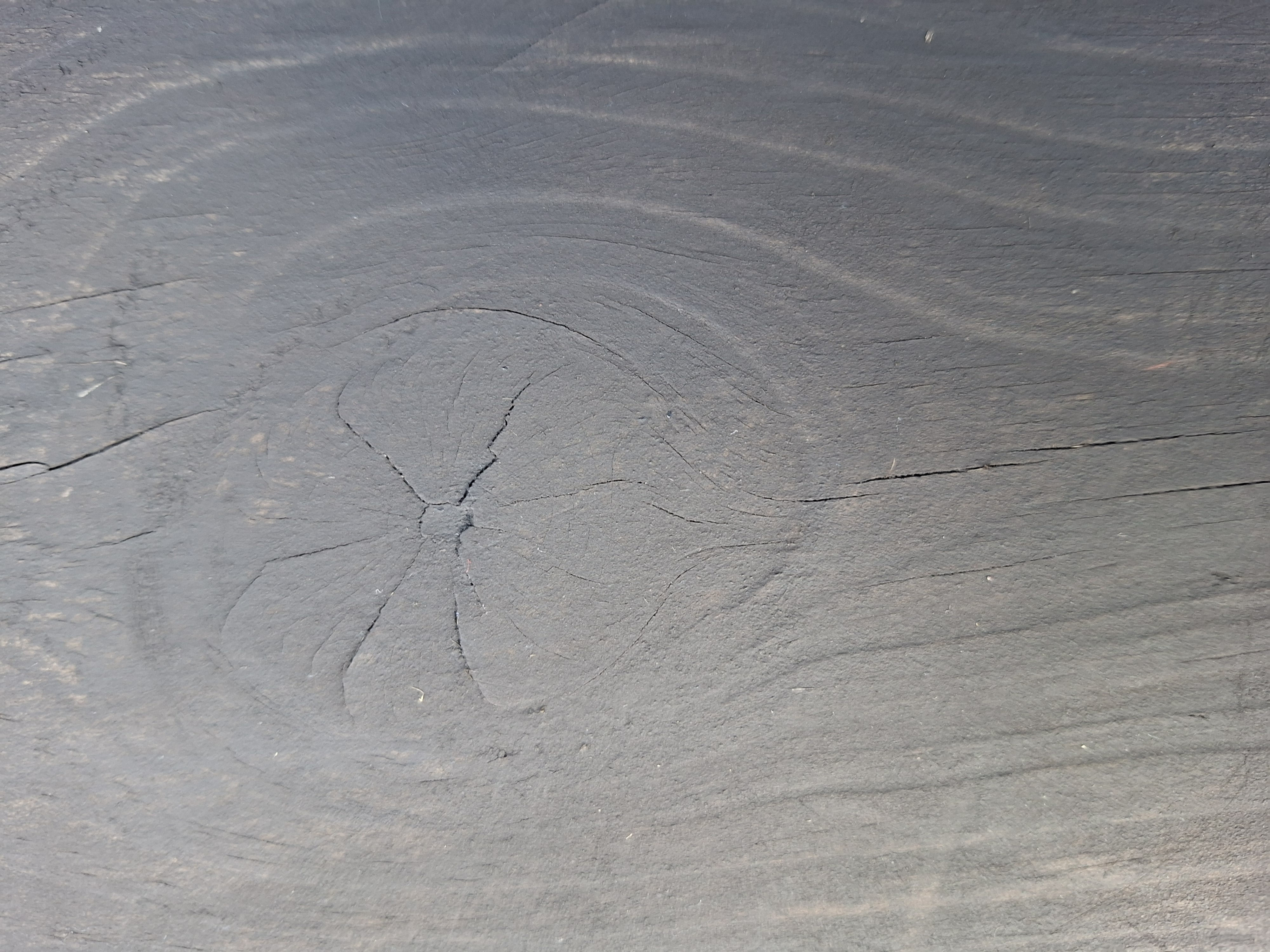 Anthracite Gray – Heritage Barn Paint – Breathable Exterior Wood Paint 