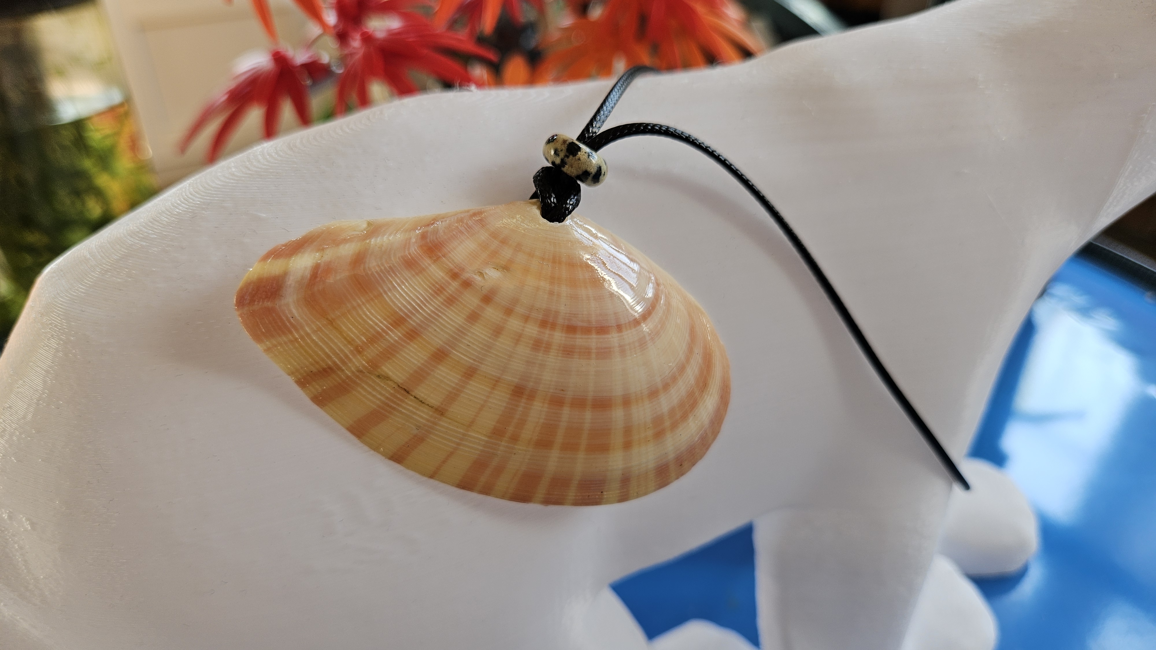 Collier “Éclat de Rivage” — Tellinella Virgata & Jaspe Dalmatien