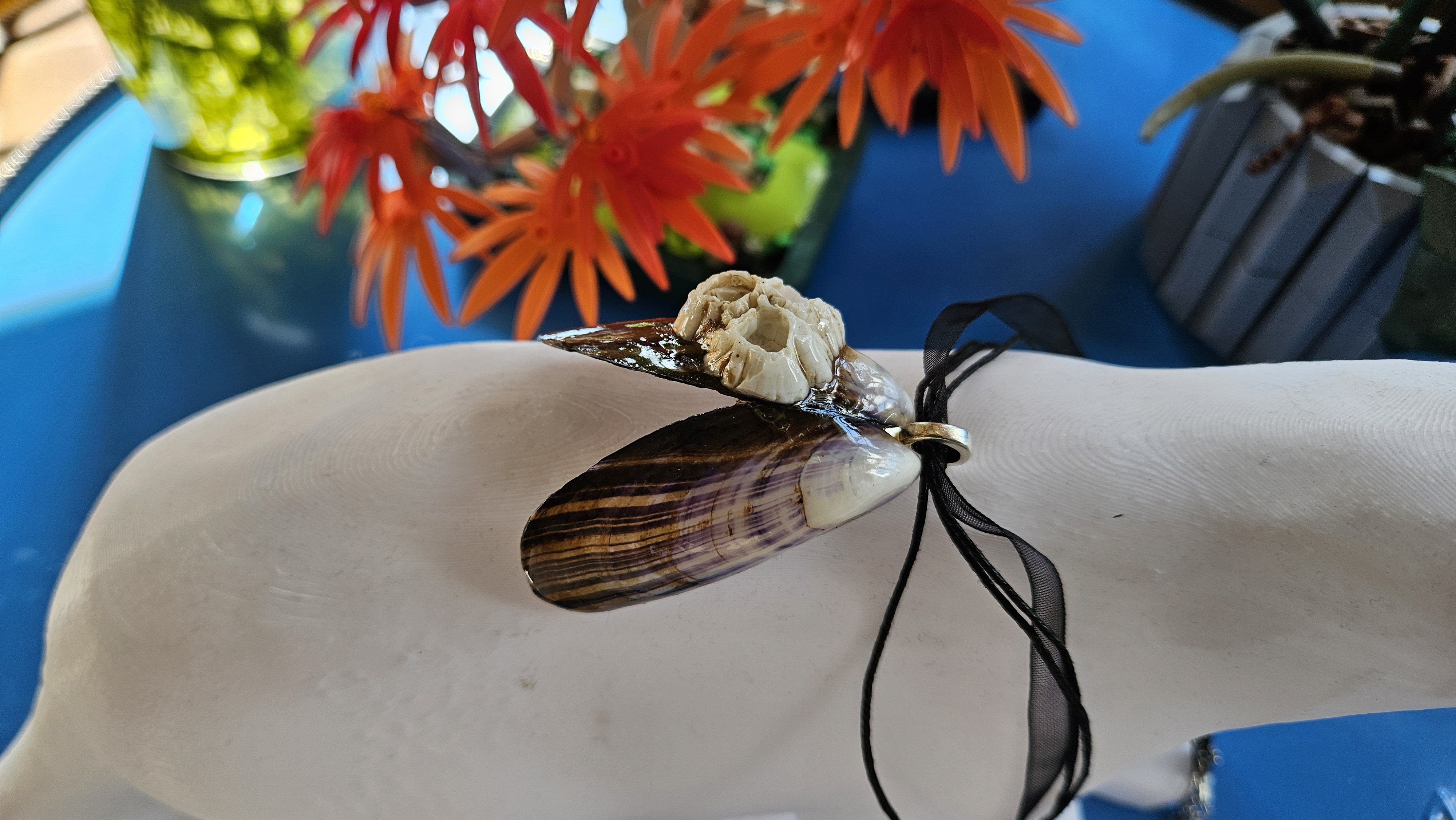 Collier “Ailes de l’Océan” — Moule & Balanes Acorn