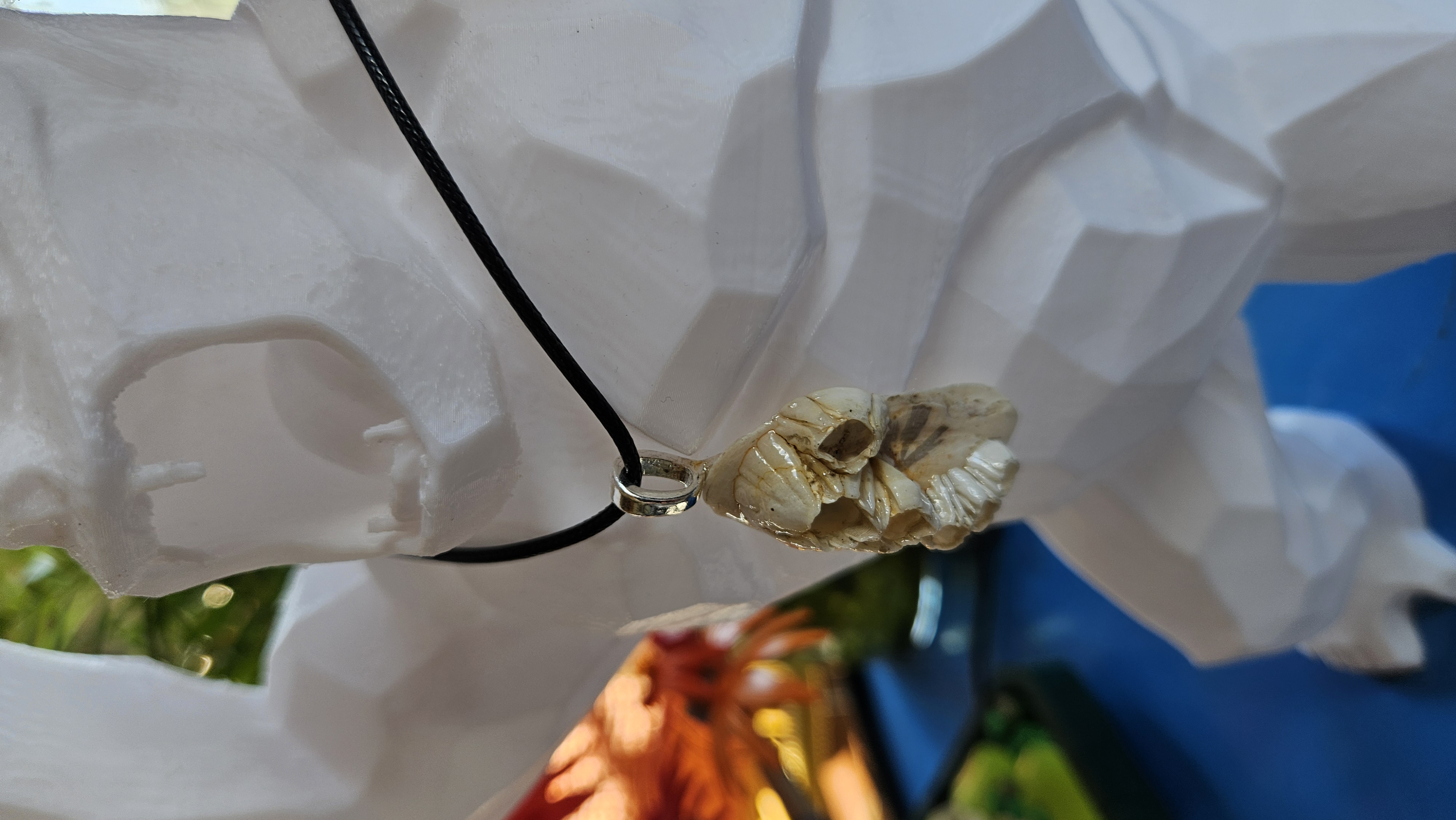 Collier “Étreinte Sauvage” — Coquillage & Balanes de Normandie