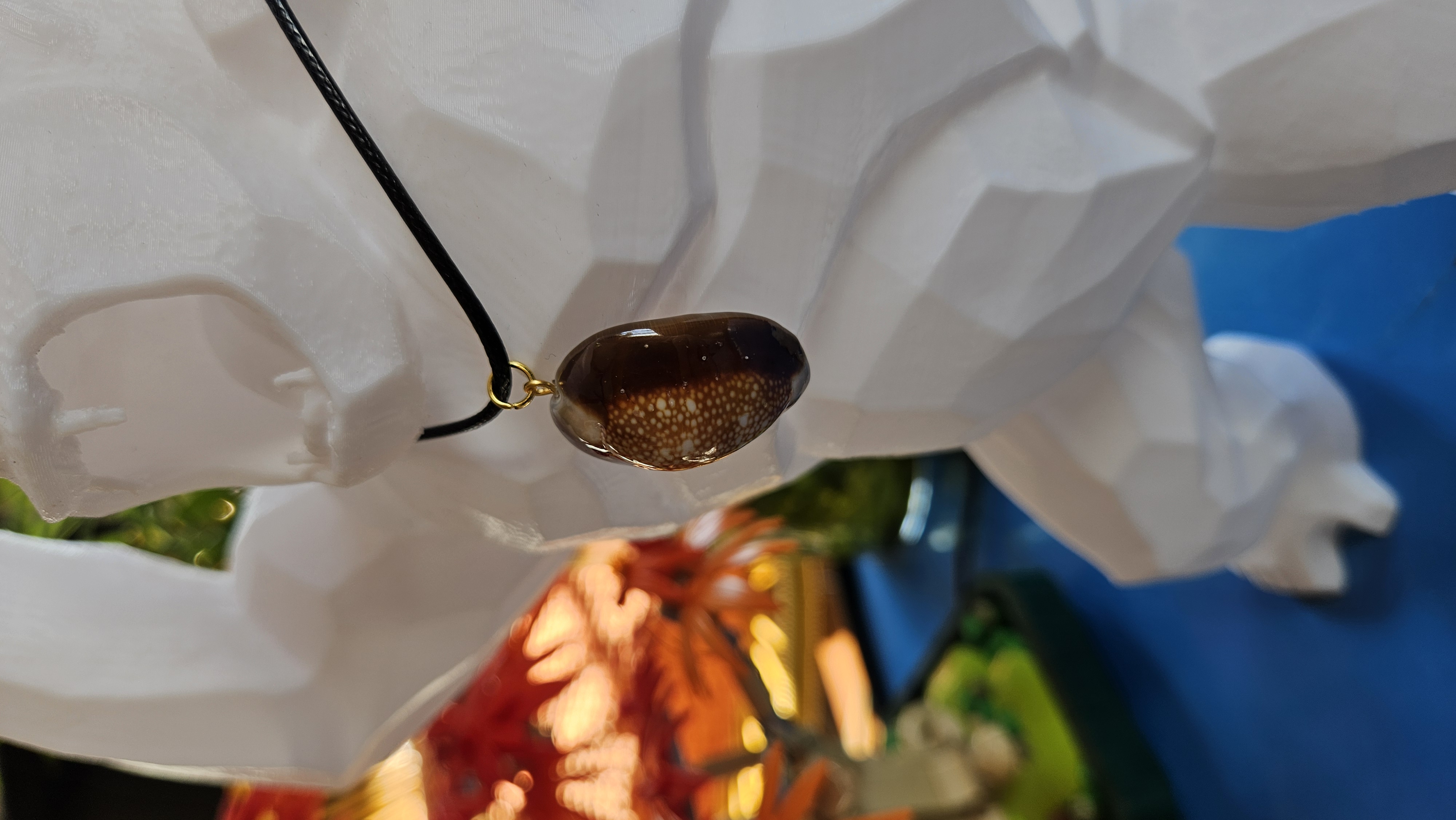 Collier “Peau de Serpent” — Porcelaine Cypraea Caputserpentis