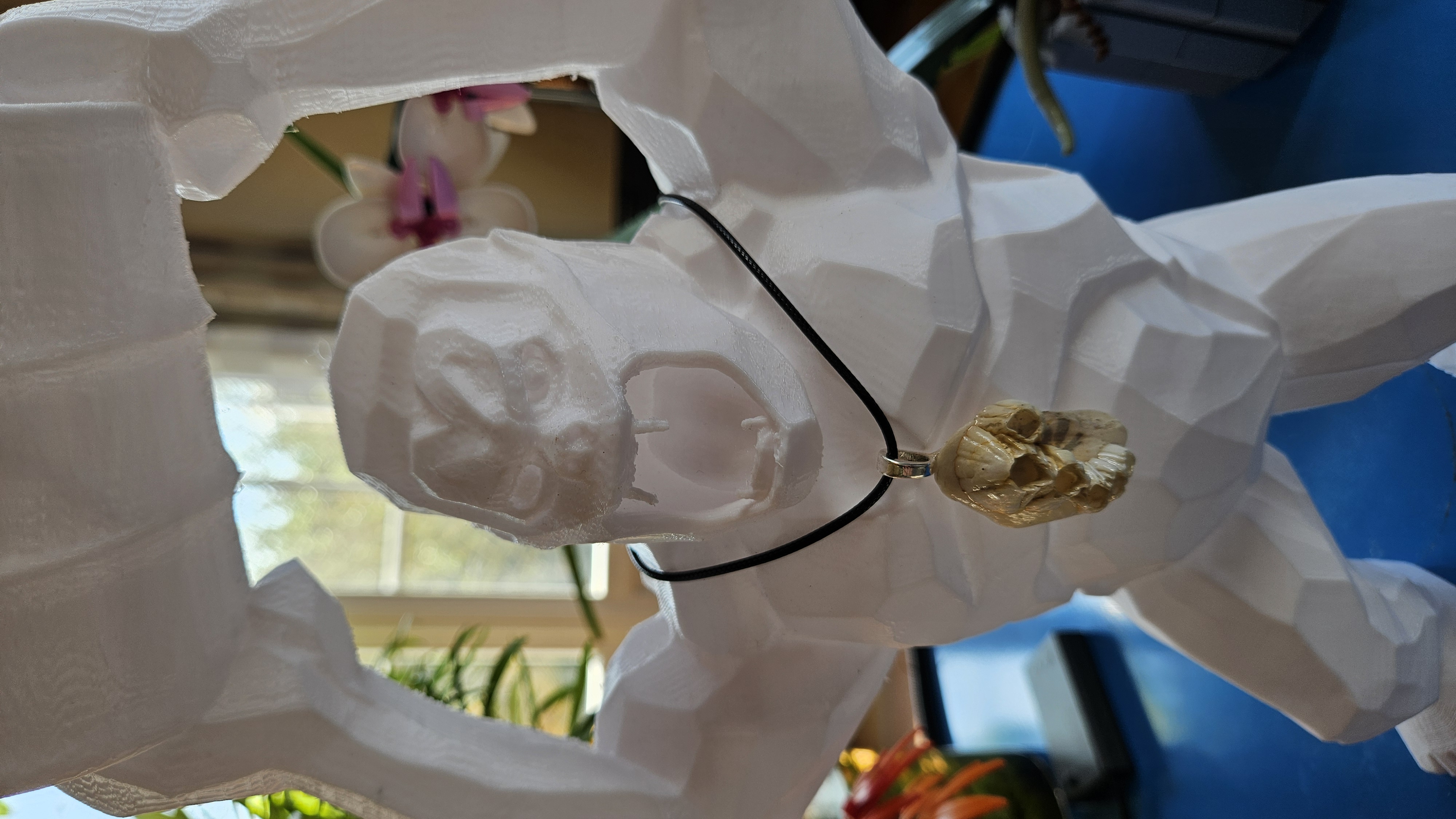 Collier “Étreinte Sauvage” — Coquillage & Balanes de Normandie