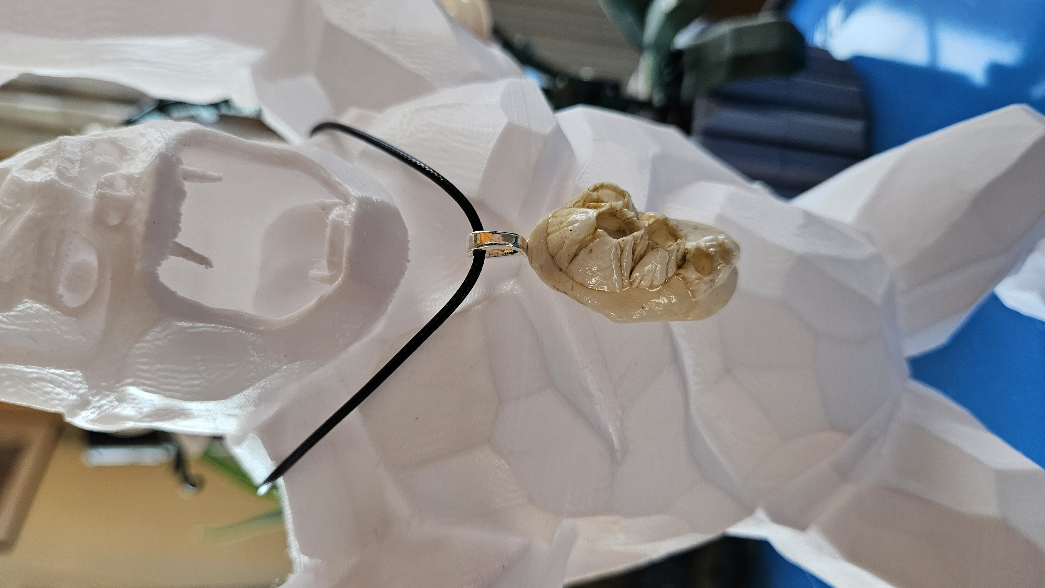 Collier “Étreinte Sauvage” — Coquillage & Balanes de Normandie