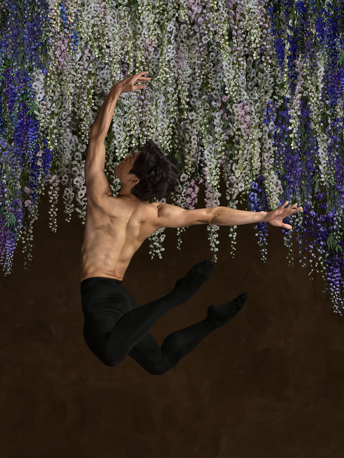 Delphinium & Hortensia nr. II