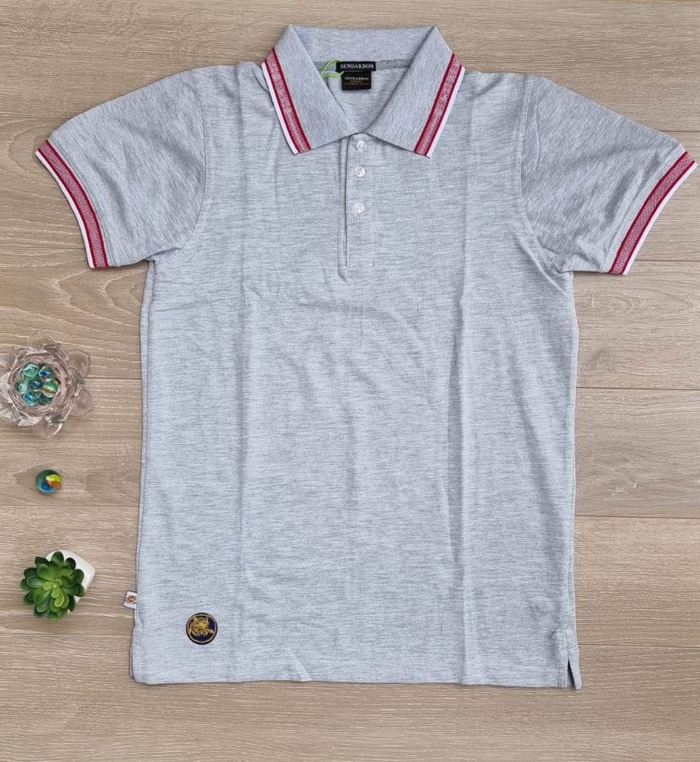Men's Polo T-Shirt Gray