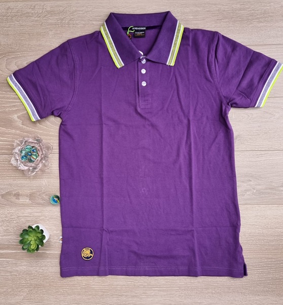 Men's Polo T-Shirt Purple