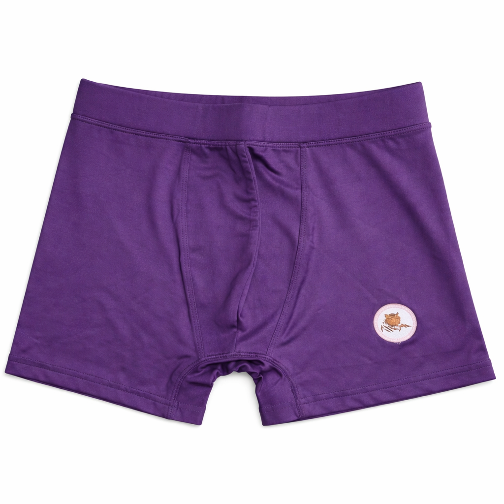 Men’s LYCRA Premium Underwear Boxer Purple