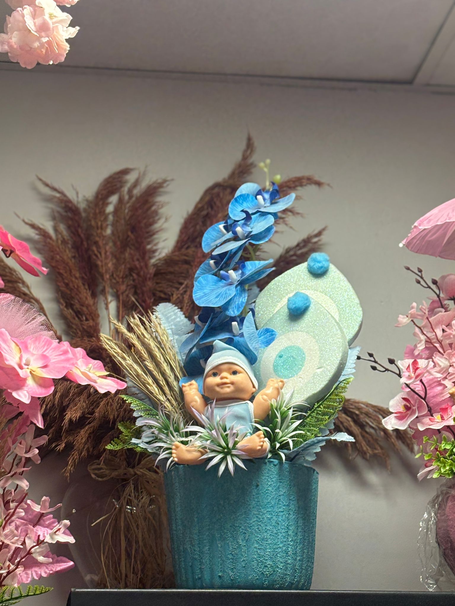 Mavi Bebek Teraryumu