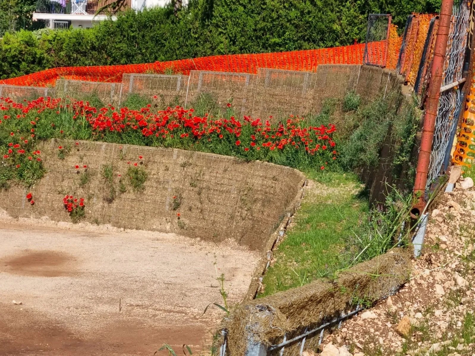 Consolidatore SOStengo h200