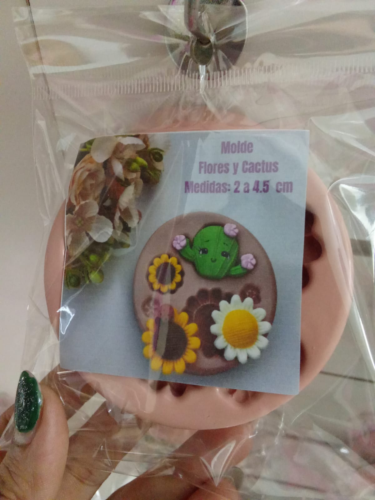 Molde de Flores y Cactus