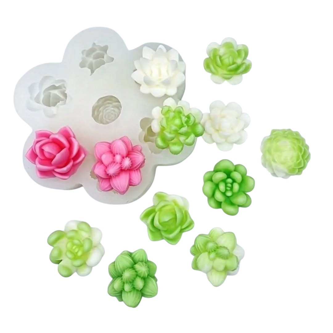 Molde de 7 suculentas distintas