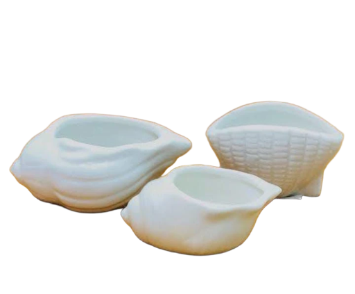 Molde de contenedores con forma de concha 