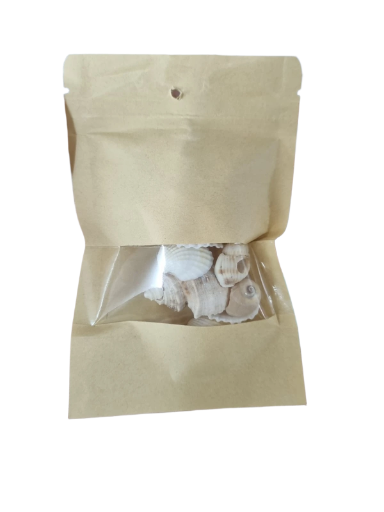 Conchas Marinas Decorativas