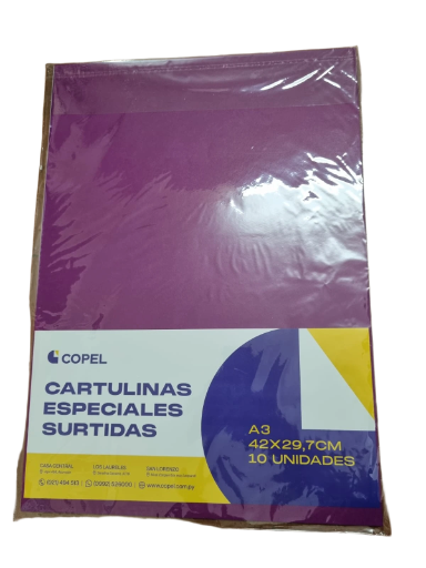 Cartulinas Especiales Surtidas A3