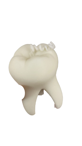 Molde de diente 9,5 cm