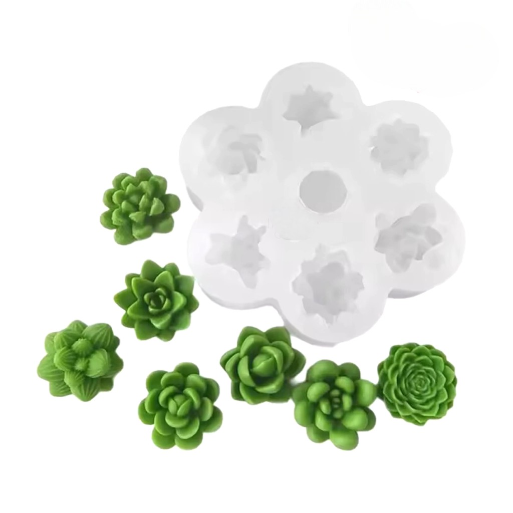 Molde de 7 suculentas distintas