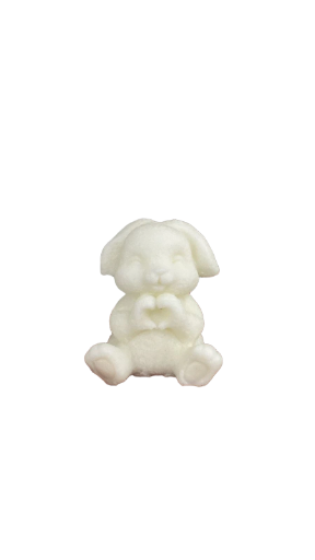 Molde de conejo con símbolo de corazón en mano