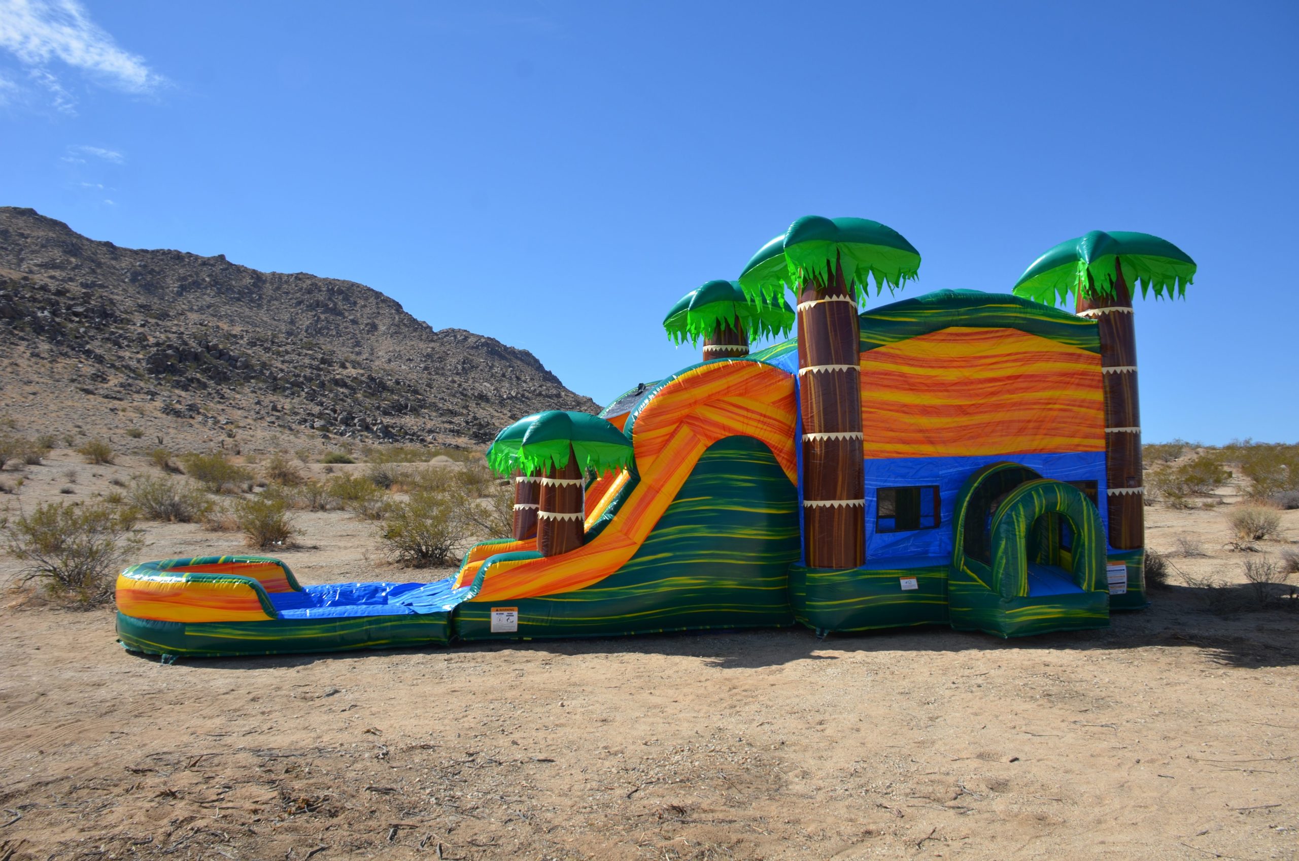  Palms Bounce House With Dual Lane Slide