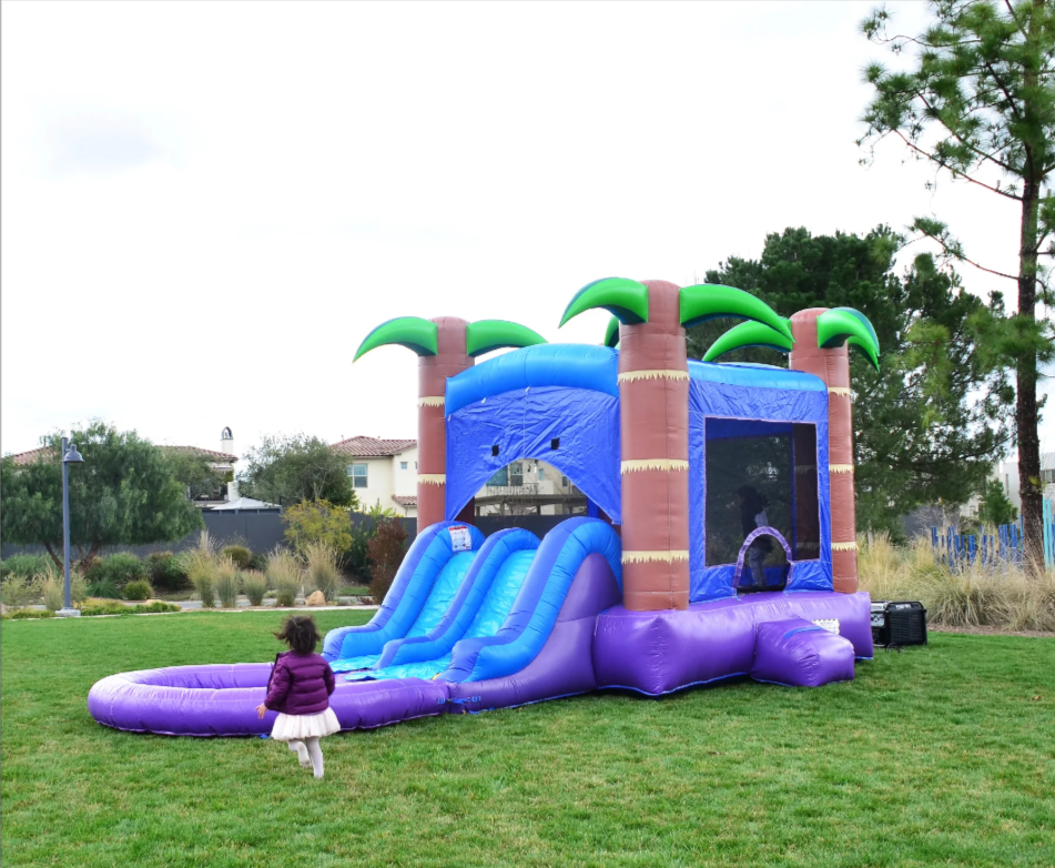  Jungle Double Slide Bounce House with Pool
