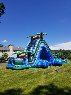 Tropical Inflatable Water Slide