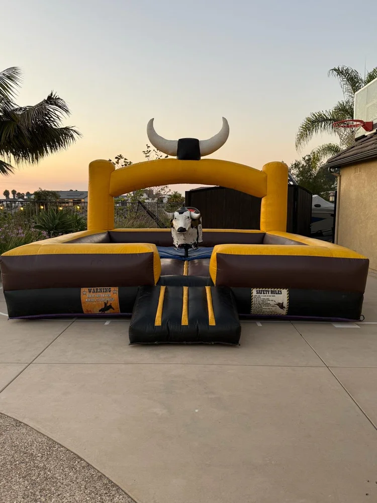 Mechanical Bull Ride