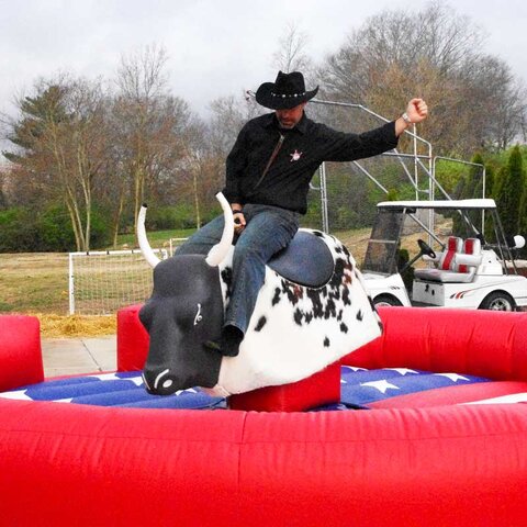 Mechanical Rodeo Bull Ride