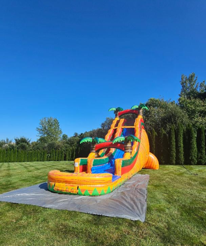 Inflatable Tropical Water Slide