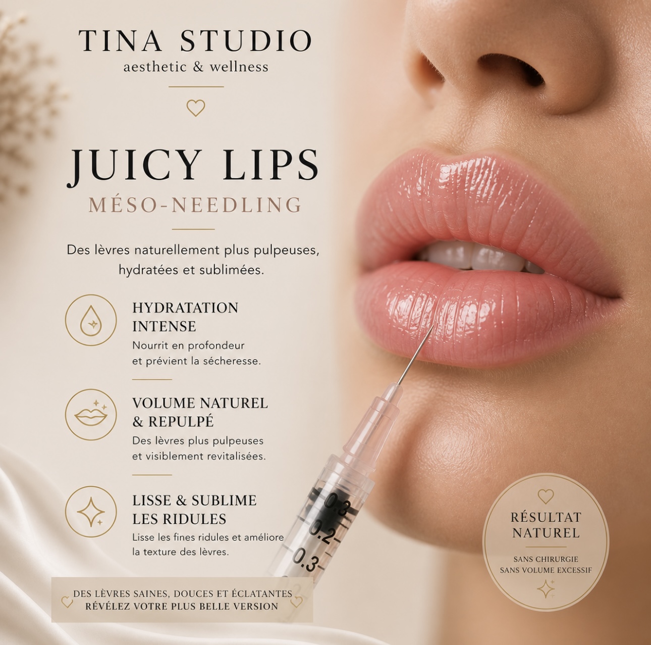 Juicy Lips Mésoneedling
