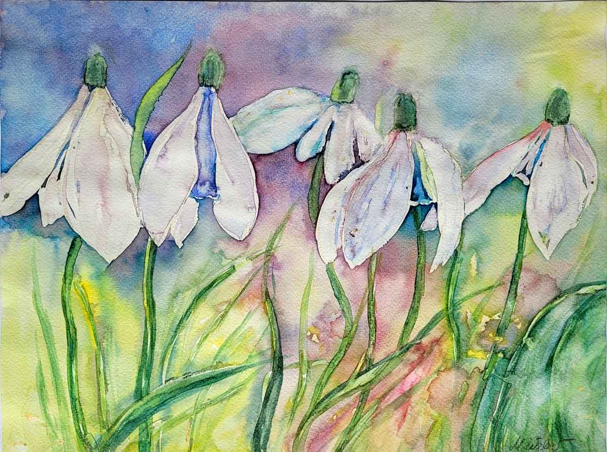 Schneeglöckchen ganz groß – Aquarell