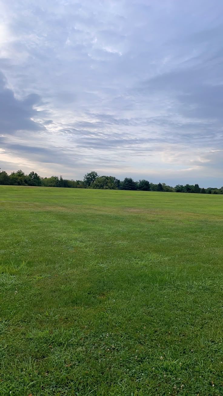 ارض -ساحل طهطا-متفرعه من النصر البحري 