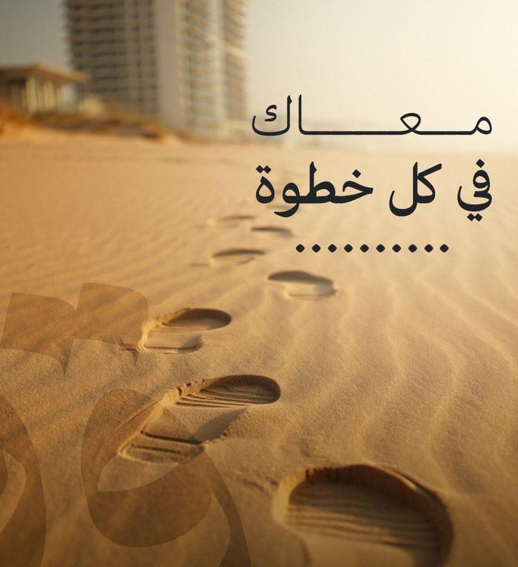 شقه-طهطا - خالدين الوليد